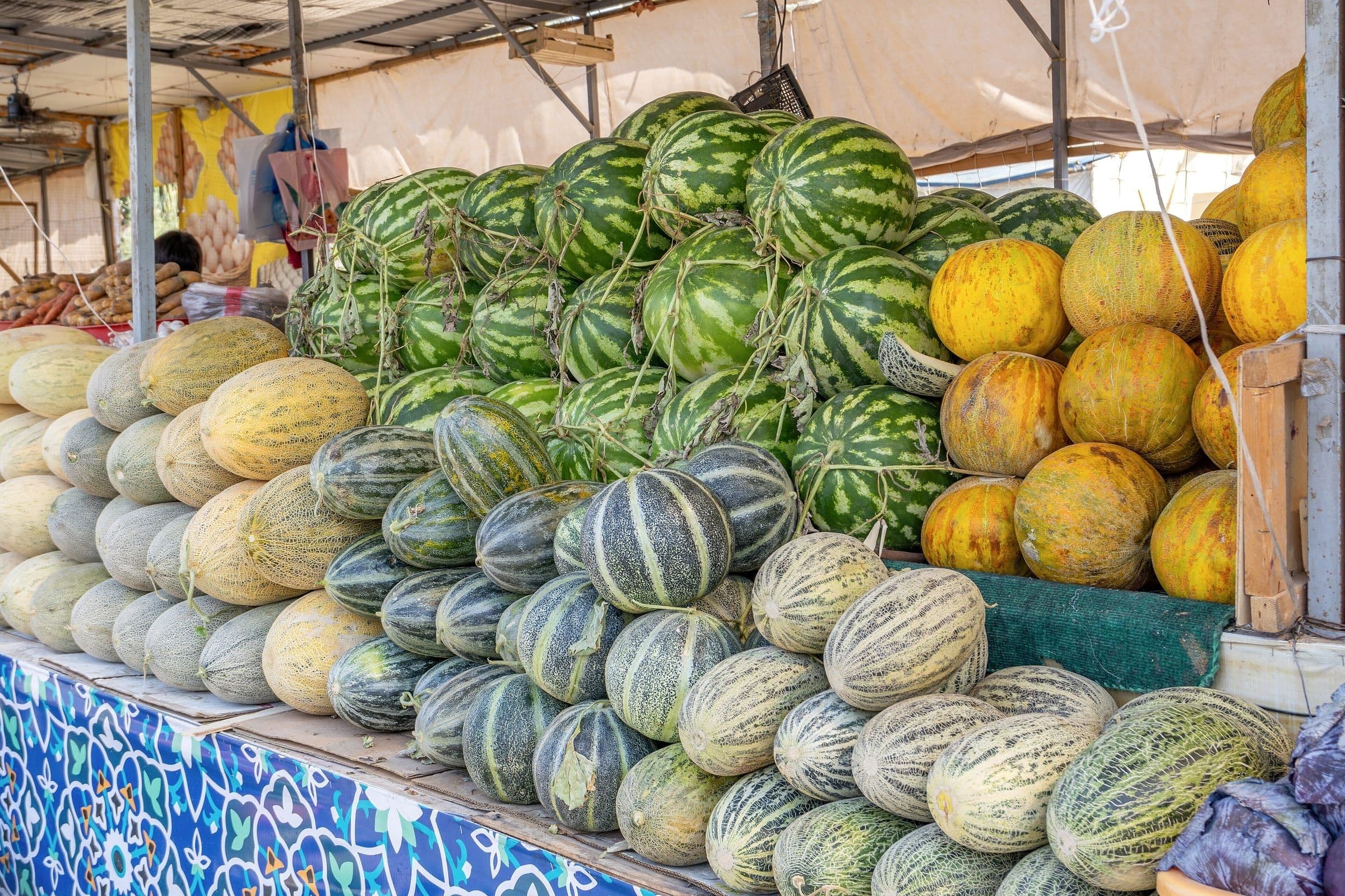 A bazaar stall piled high with striped watermelons and melons: dark green, golden yellow and pale with netted skins